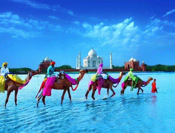 Madhuchanda Travel Holidays Pvt. Ltd. Travel Agents weddingplz