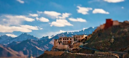 Shree Balaji Holidays Travel Agents weddingplz