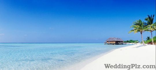 Shree Balaji Holidays Travel Agents weddingplz