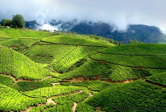 South Yatra Tourism Travel Agents weddingplz