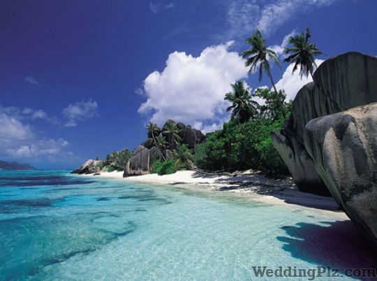Travel Buddies Travel Agents weddingplz