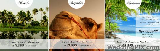 Travel Kattaa Tours And Travels Travel Agents weddingplz
