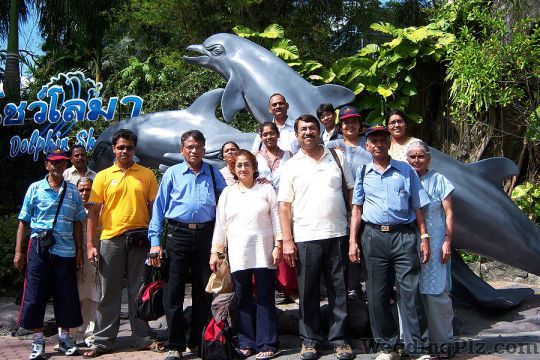 Travel Pax India Pvt Ltd Travel Agents weddingplz