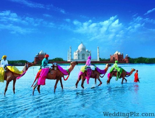 Airpack International Travel Agents weddingplz