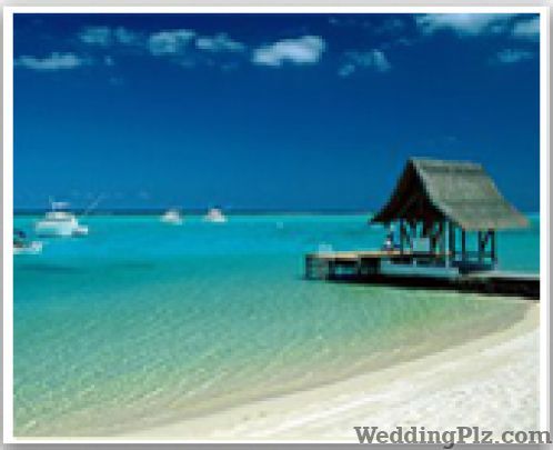 Bajaj Travels Travel Agents weddingplz