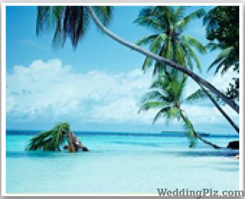 Bajaj Travels Travel Agents weddingplz