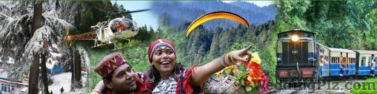 Gill Tour and Travels Travel Agents weddingplz