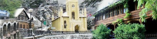 Gill Tour and Travels Travel Agents weddingplz