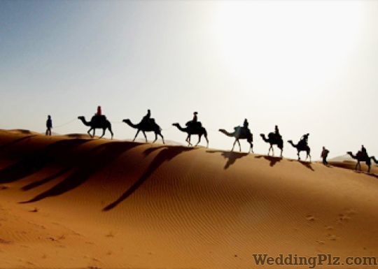 Leisure Flies Travel Pvt Ltd Travel Agents weddingplz