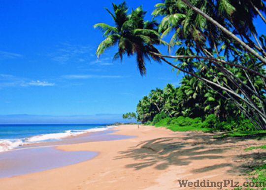 Leisure Flies Travel Pvt Ltd Travel Agents weddingplz