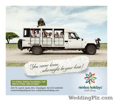 Nimbus Holidays Travel Agents weddingplz