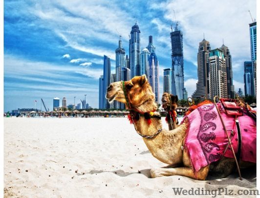 Rawat Enterprises Travel Agents weddingplz