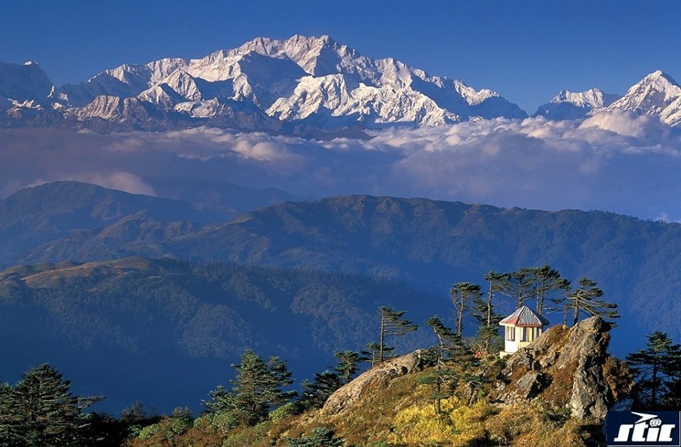 Stic Travels Pvt. Ltd. Travel Agents weddingplz