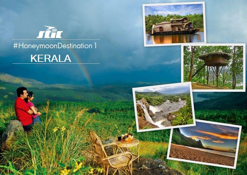 Stic Travels Pvt. Ltd. Travel Agents weddingplz