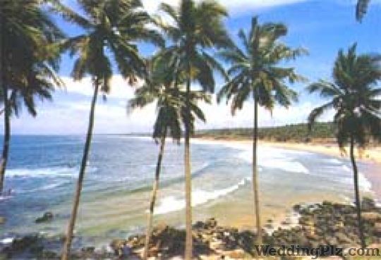 Sunny Holidays Travel Agents weddingplz