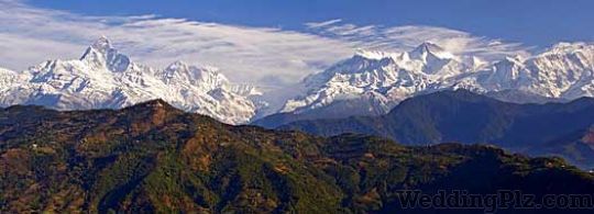 Visit Punjab Tours Pvt Ltd Travel Agents weddingplz