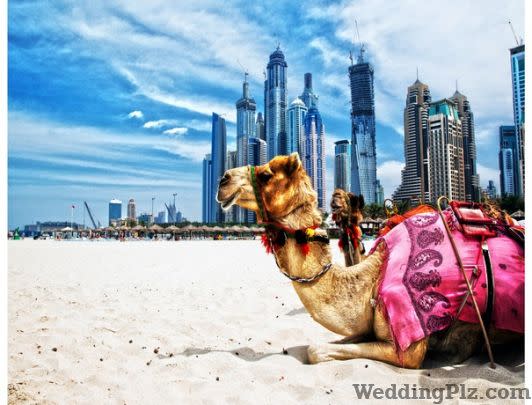 Firefliez Travels and Events Travel Agents weddingplz