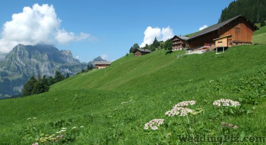 MakeMyTrip India Pvt Ltd Travel Agents weddingplz