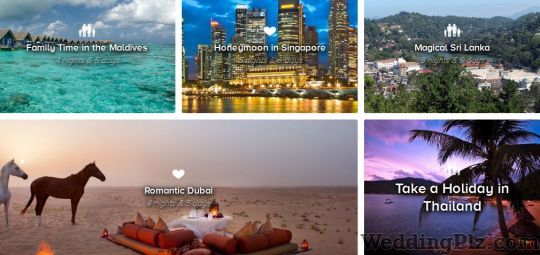 Travel Tours Pvt Ltd Travel Agents weddingplz