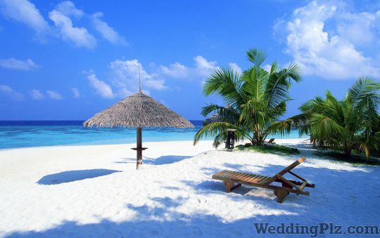 Vintage Holidays Travel Agents weddingplz