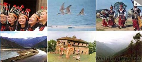 Chrysalis Holidays Pvt Ltd Travel Agents weddingplz