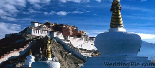 Indo Aisa Tours Pvt Ltd Travel Agents weddingplz