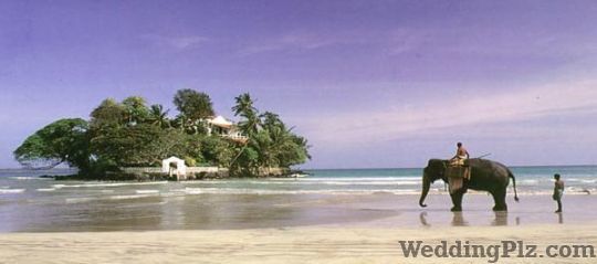 Indo Aisa Tours Pvt Ltd Travel Agents weddingplz