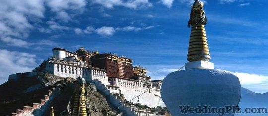 Intersight Holidays Pvt Ltd Travel Agents weddingplz