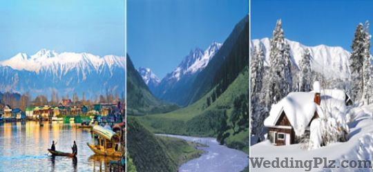 Chariot World Tours Limited Travel Agents weddingplz