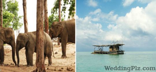 Chariot World Tours Limited Travel Agents weddingplz