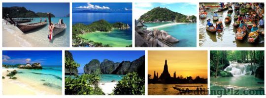 Excelsior Travels Pvt Ltd Travel Agents weddingplz