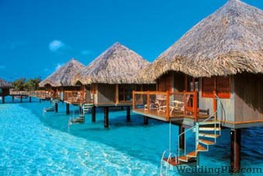 Deejohn Holidays India Tours Travel Agents weddingplz