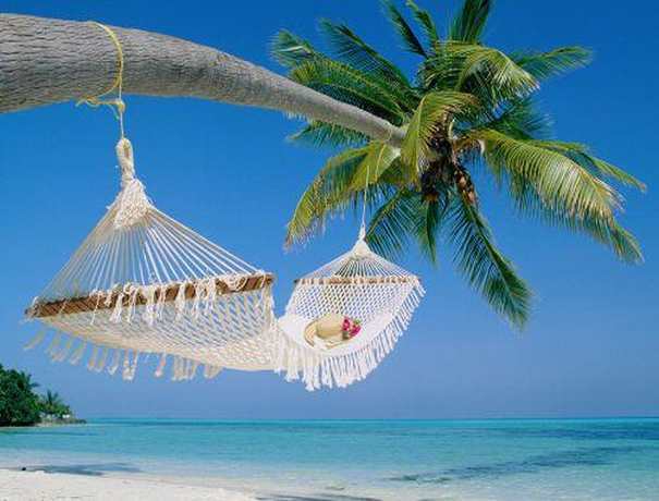 Deejohn Holidays India Tours Travel Agents weddingplz