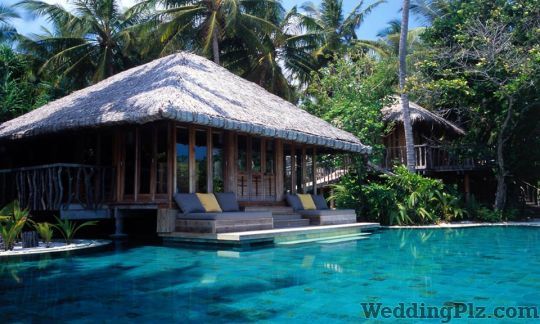 ARV Holidays Pvt Ltd Travel Agents weddingplz