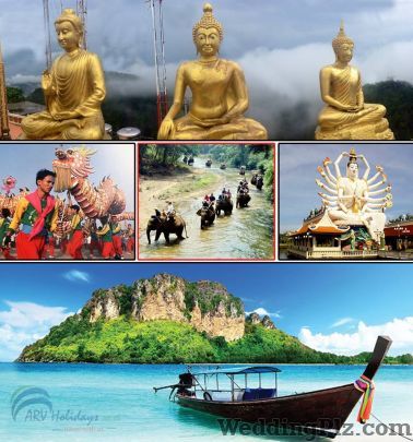 ARV Holidays Pvt Ltd Travel Agents weddingplz