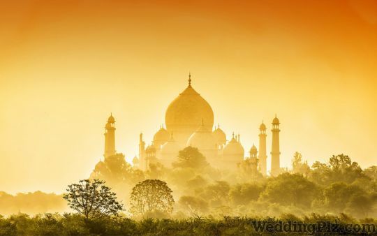 Travel Max Holiday Pvt Ltd Travel Agents weddingplz