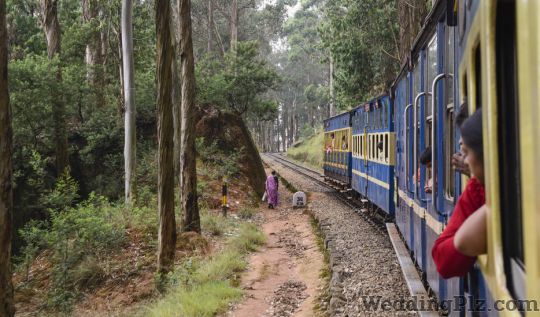 My Trip Organiser Travel Agents weddingplz