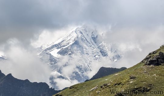 My Trip Organiser Travel Agents weddingplz