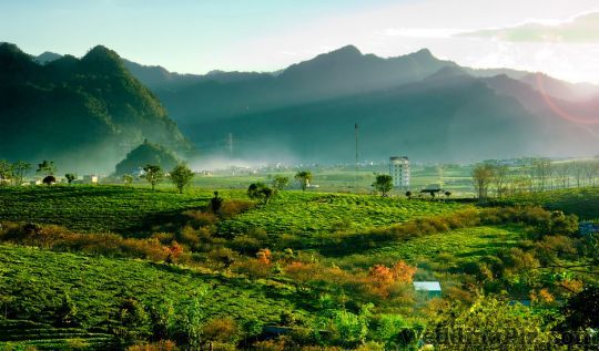 My Trip Organiser Travel Agents weddingplz