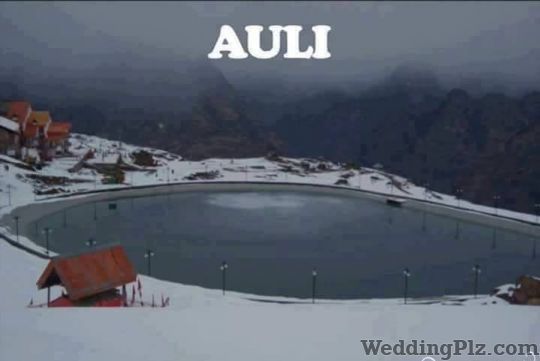 Crusi Travels Pvt Ltd Travel Agents weddingplz