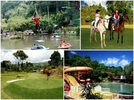 Tripzeo India Pvt Ltd Travel Agents weddingplz
