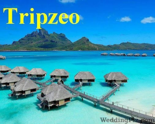 Tripzeo India Pvt Ltd Travel Agents weddingplz