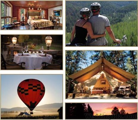 Tripzeo India Pvt Ltd Travel Agents weddingplz