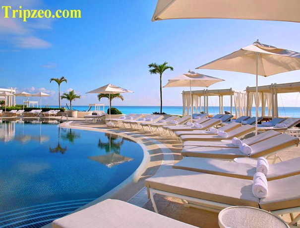 Tripzeo India Pvt Ltd Travel Agents weddingplz