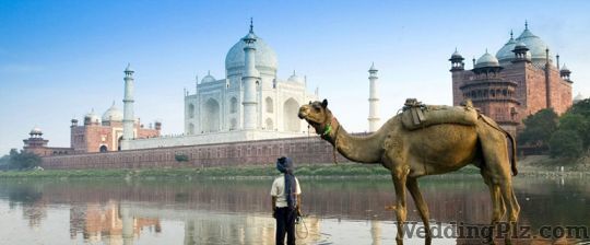 Exotic Vacation Delhi Travel Agents weddingplz