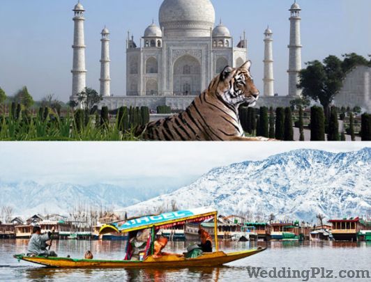 Exotic Vacation Delhi Travel Agents weddingplz