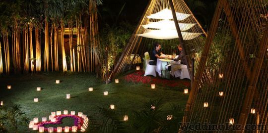 Exotic Vacation Delhi Travel Agents weddingplz