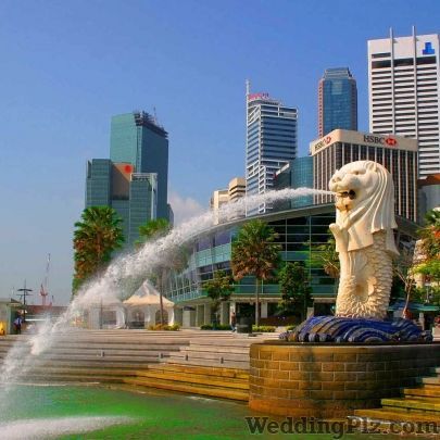 MARIGOLD TRAVELS Travel Agents weddingplz