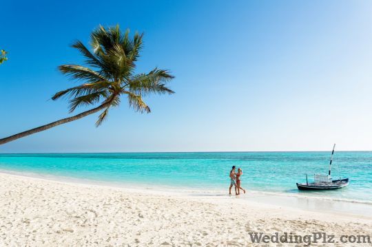 Plan Journeys Pvt Ltd Travel Agents weddingplz
