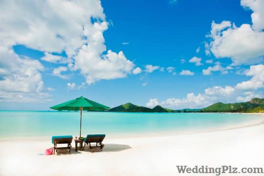 Clearship Travels and Tours Pvt Ltd Travel Agents weddingplz